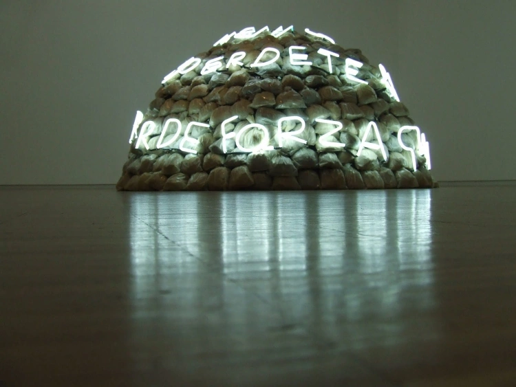 Arte Povera The Movement The Message 8201