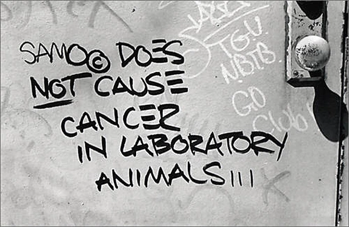 Basquiat Samo Graffiti