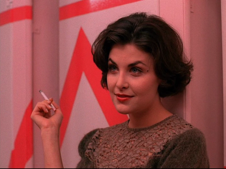 Sherilyn Fenn TV Roles