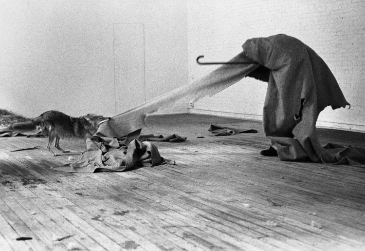Joseph-Beuys-I-like-America-and-America-likes-me-1974-René-Block-Gallery-New-York