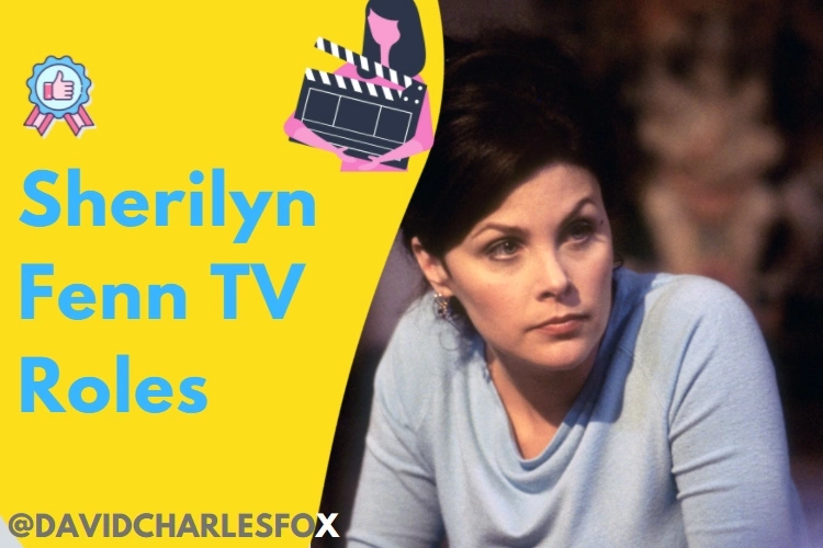 Sherilyn Fenn TV Roles