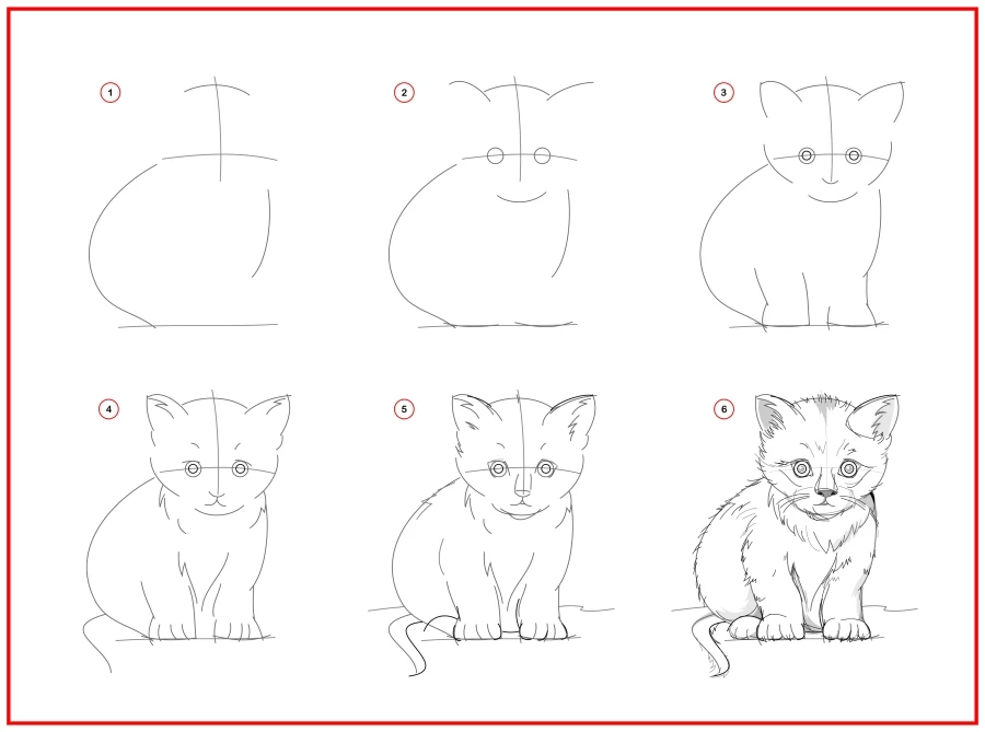 How to draw a cat