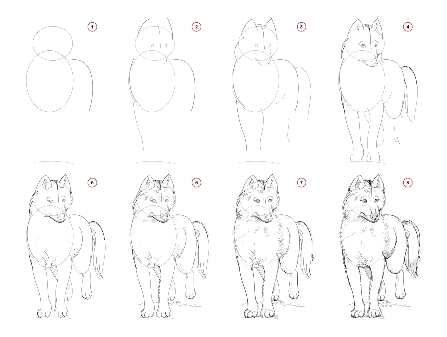 How to draw a dog