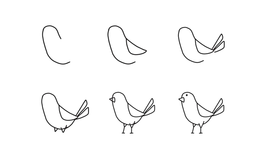 How to draw a bird