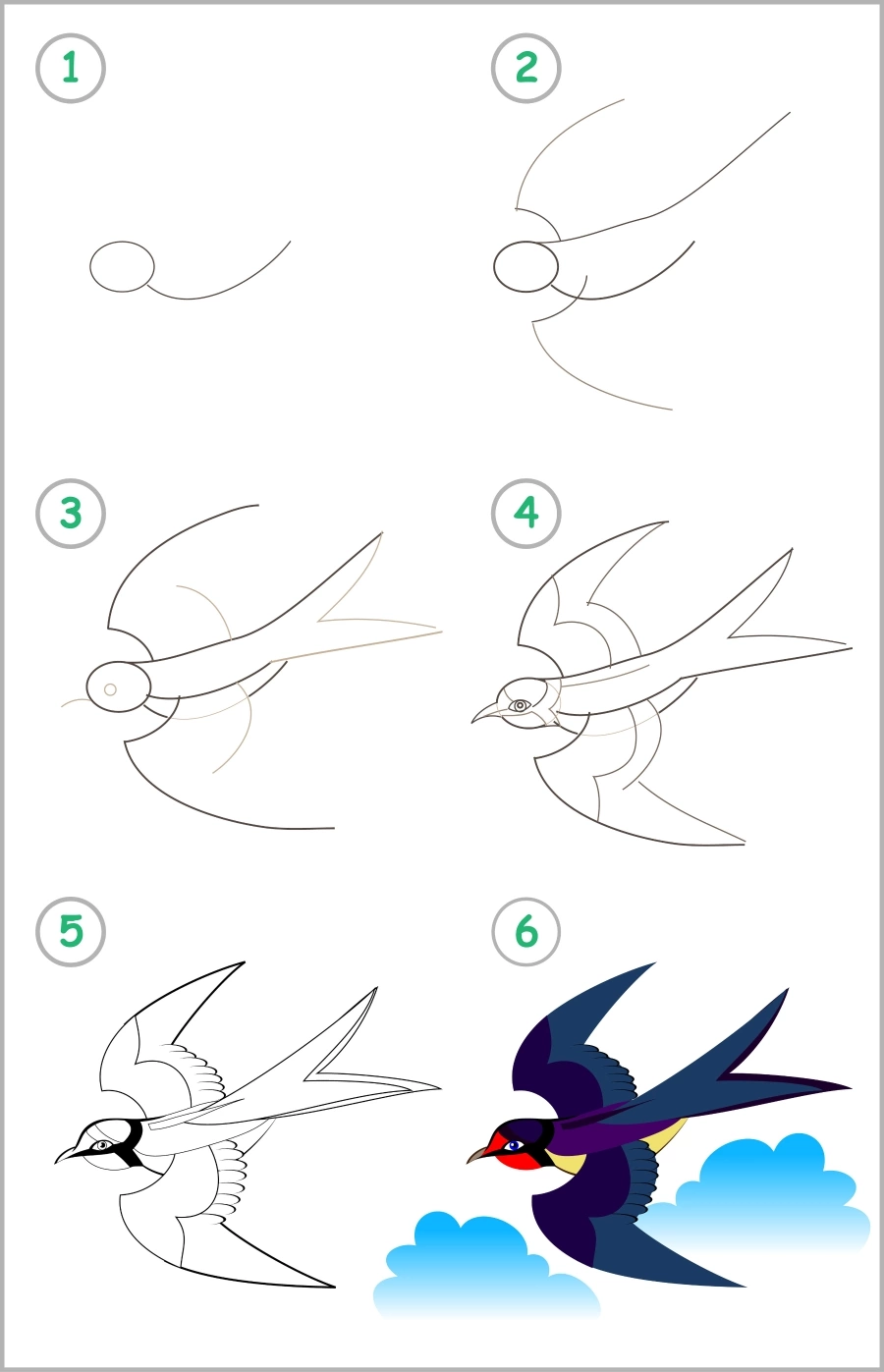 Draw a cute swallow