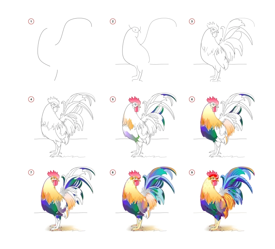 Draw a colorful rooster
