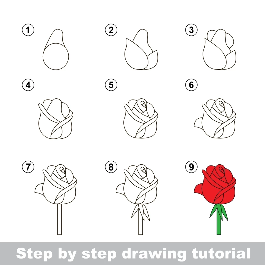 Simple way to draw a Rose