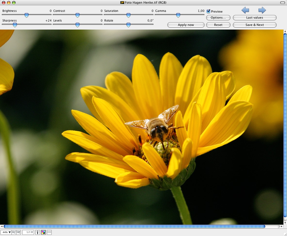 GraphicConverter instal the new version for android